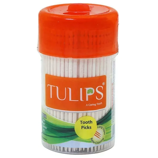 Tulips Wooden Tooth Pick - 250 Stick